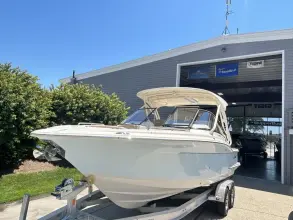 Thumbnail von Scout 255 Dorado