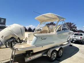 Thumbnail von Scout 255 Dorado