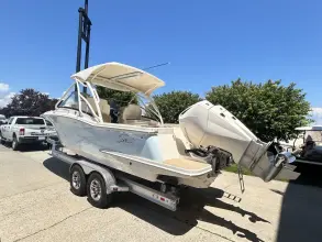 Thumbnail von Scout 255 Dorado