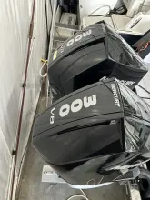 Thumbnail von Aviara 32