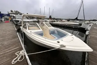 Scout 240 Dorado