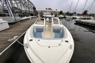 Thumbnail von Scout 240 Dorado