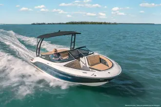 Thumbnail von Sea Ray SPX 190