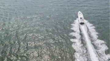 Thumbnail von Fountain 38 Sportfish Cruiser