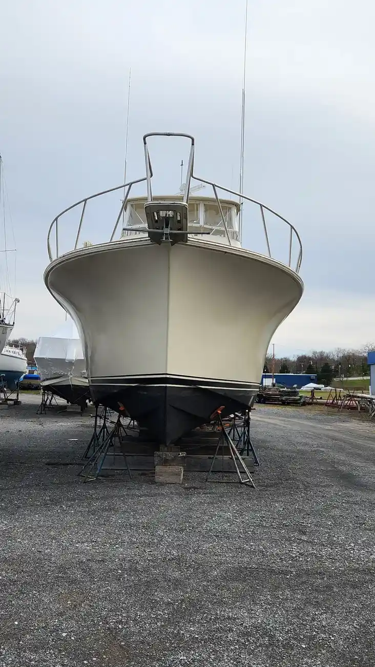 Thumbnail von Ocean Yachts 55 Super Sport Reel Easy