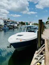 Thumbnail von Intrepid 377 WA