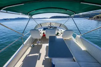 Thumbnail von Coastal Craft 400 IPS CONSEQUENCE FREE