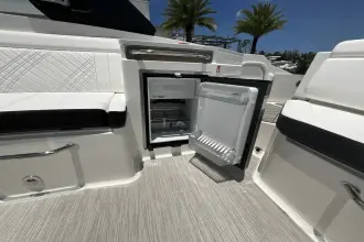 Thumbnail von Sea Ray SDX 290 s motorem