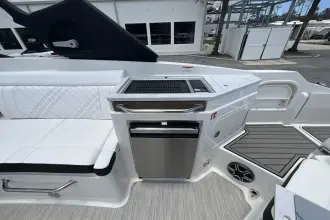 Thumbnail von Sea Ray SDX 290 s motorem