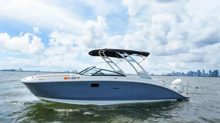Sea Ray SDX 270 Buitenboord