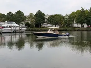 Thumbnail von Scout 277 LXF