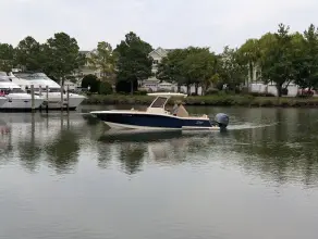 Thumbnail von Scout 277 LXF