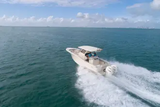 Thumbnail von Scout 305 LXF