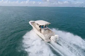 Thumbnail von Scout 305 LXF