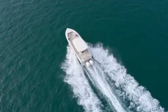 Thumbnail von Scout 305 LXF