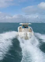 Thumbnail von Scout 305 LXF