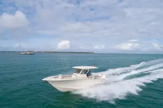 Thumbnail von Scout 305 LXF