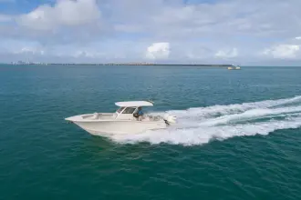 Thumbnail von Scout 305 LXF