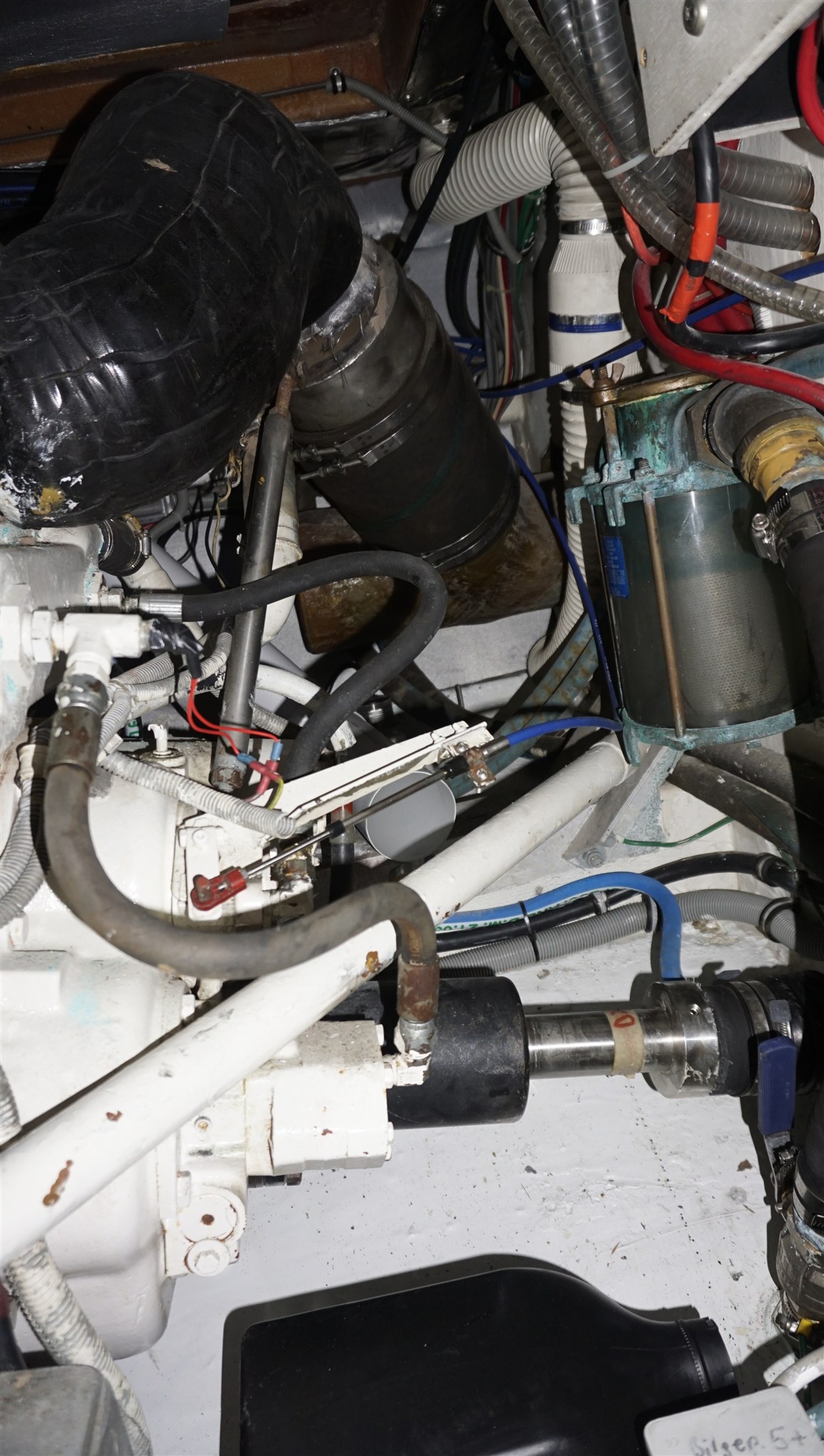 Thumbnail von Bertram Yacht Bertram 37 Convertible