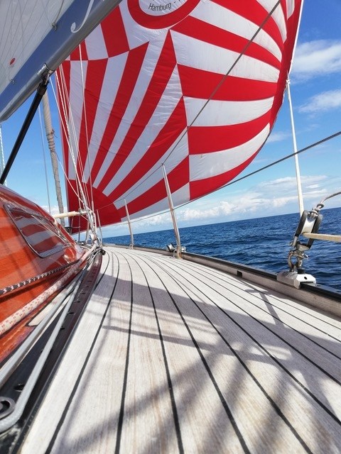 Thumbnail von ヴェゲナー・ヨットワーフ・ニッセン 37