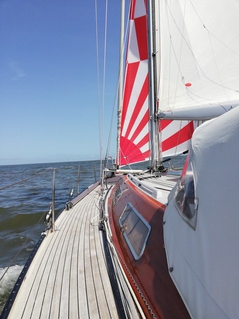 Thumbnail von ヴェゲナー・ヨットワーフ・ニッセン 37