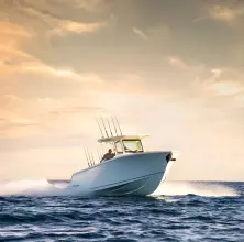 Thumbnail von Sailfish 312 CC
