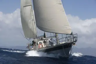 Custom Arden 60 Arctic Vixen