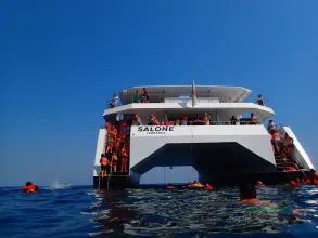 Thumbnail von Maßgeschneiderter Katamaran SALONE