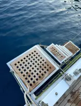 Thumbnail von Maßgeschneiderte AKBAS GULET KETCH Maßgeschneiderte AKBAS GULET KETCH