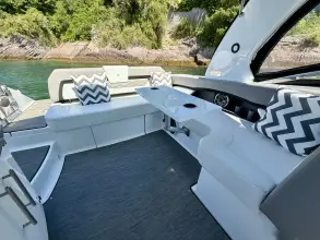 Thumbnail von Four Winns Horizon 290