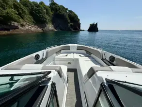 Thumbnail von Four Winns Horizon 290