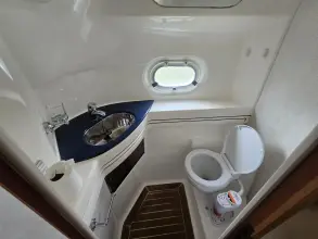 Thumbnail von Sealine F43 Javikat