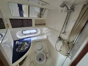 Thumbnail von Sealine F43 Javikat