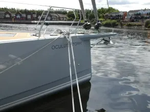 Thumbnail von Hanse 460 OCULUS STORM