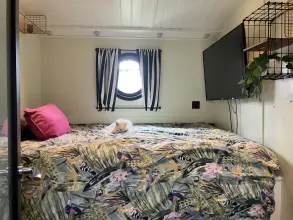 Thumbnail von Collingwood Hoxton  Priscilla