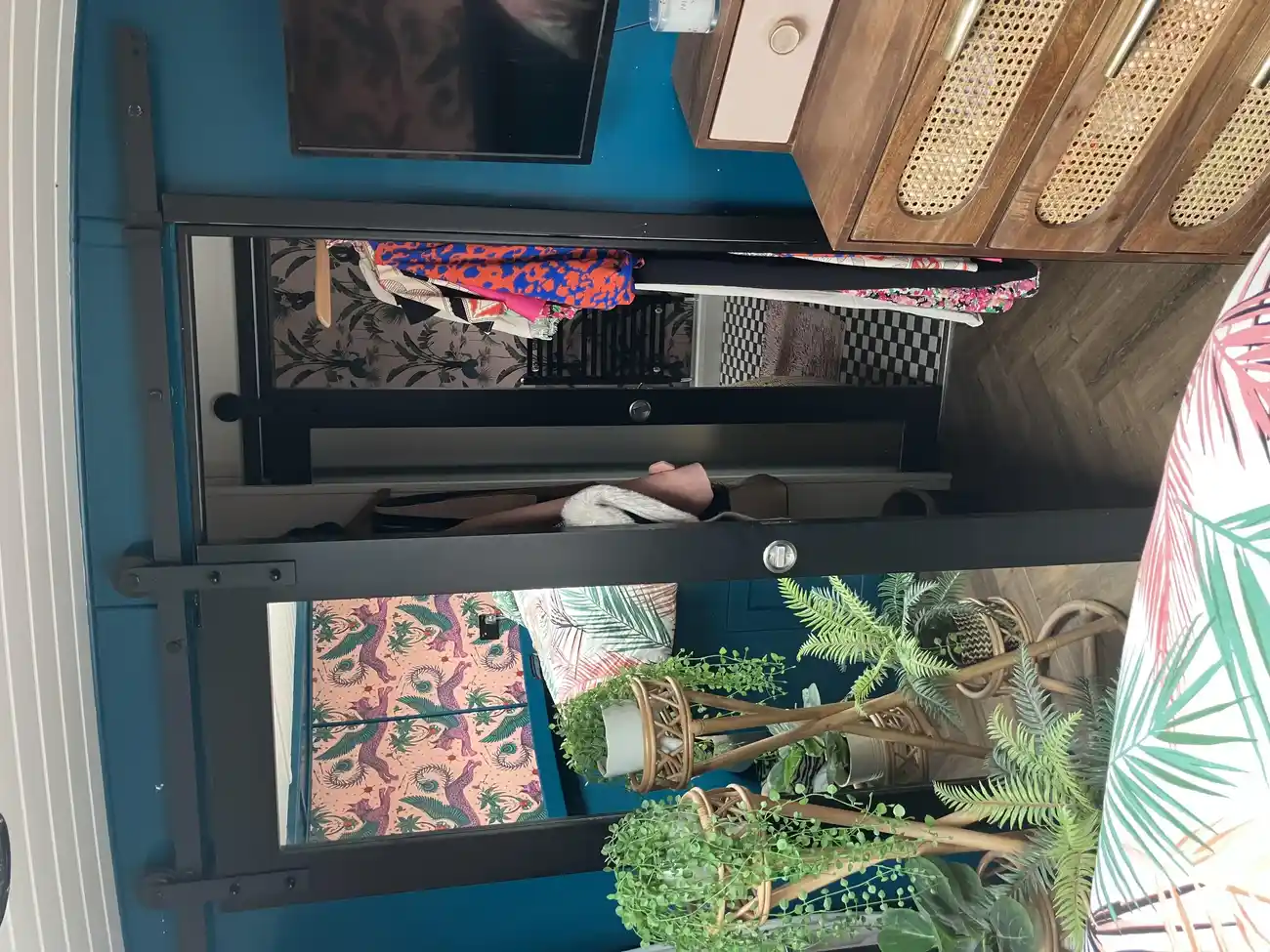 Thumbnail von Collingwood Hoxton  Priscilla