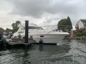 Thumbnail von Sealine T46 Alchemy 7