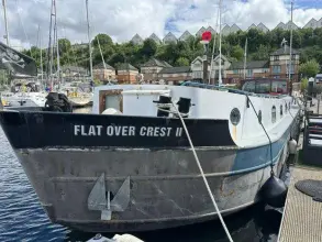Thumbnail von Custom 65ft Dutch Barge Flat over crest