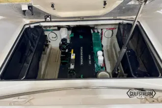 Thumbnail von Windy 29 Coho