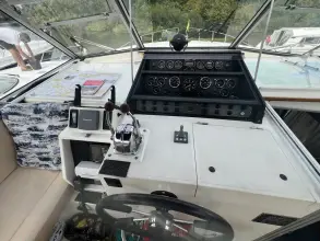 Thumbnail von Broom Monarch Very clean example