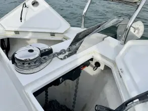 Thumbnail von Sealine C430 DESTINY