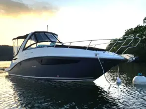 Thumbnail von Sea Ray Sundancer 265 Miss Sixty