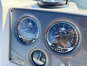 Thumbnail von Sealine F425 RAFFLES