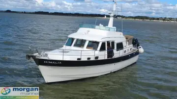 Thumbnail von Hardy Commodore 42 Himalia