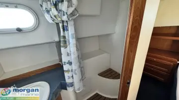 Thumbnail von Hardy Commodore 42 Himalia