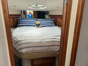 Thumbnail von Rodman 38 Yacht YOLO