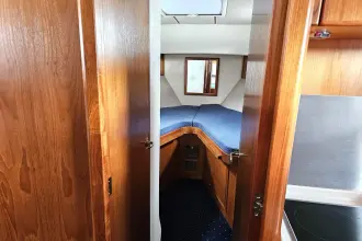 Thumbnail von Hardy Commodore 42 JUNIPER