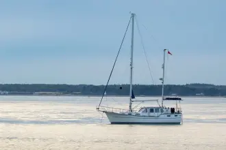 Thumbnail von Nauticat 331 Ambassador