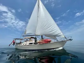 Thumbnail von Island Packet 465