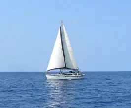 Thumbnail von Wauquiez Pilot Saloon 43